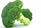 Brokolinin Faydaları Nelerdir?