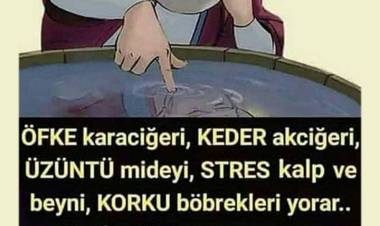 Olumsuz Duygu ve Düşüncelerin Vücuda Zararları