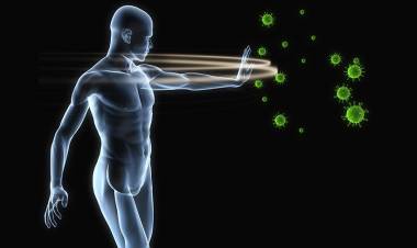 Bağışıklık Sistemi Nedir?