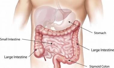 Mide Hastalıkları: Reflü Nedir?