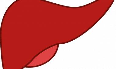 Karaciğer Yağlanması Nedir? Karaciğer Temizliği Nasıl Yapılır?-2