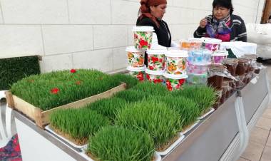 Sümelek Nedir? Sümelek Nasıl Yapılır? ( Yara Tedavisi)