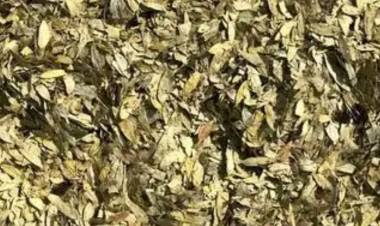 Sinamekinin Faydaları Nelerdir?