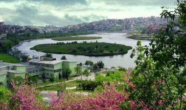 İlkbahar Meyve ve Sebzeleri