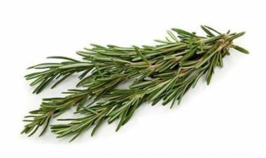 Biberiye Nedir? Biberiyenin Faydaları Nelerdir?