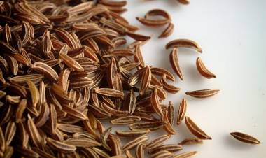 Kimyonun Faydaları Nelerdir?