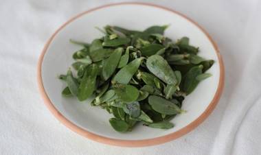 Semizotunun Faydaları Nelerdir?