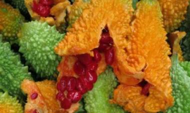 Kudret Narı Faydaları Nasıl Kullanılır?