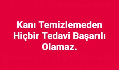 Kan ve Damarların Temizlenmesi