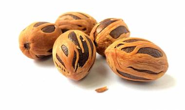 Muskat'ın Faydaları ve Zararları Nelerdir?