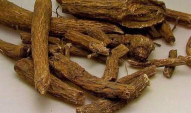 Udi Hindi  ve Udi Hindi Yağının Faydaları Nelerdir? Udi Hindi Nasıl Tüketilir?