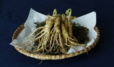 Ginseng Nedir, Faydaları Nelerdir, Nasıl Kullanılır?