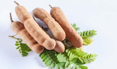 Demirhindi Nedir? Demirhindi Şerbetinin Faydaları Nelerdir?