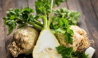 Kerevizin Faydaları Nelerdir?