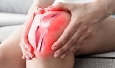 Menisküs Nedir? Menisküsün Bitkisel Tedavisi! 