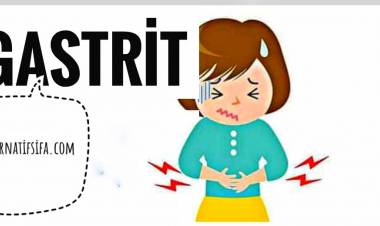 Gastrite Ne İyi Gelir,  Gastrit Nasıl Geçer? Gastritin Bitkisel Tedavisi Nedir?