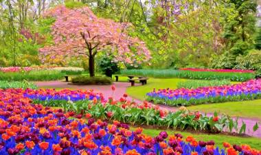 İLKBAHAR ve SAĞLIK