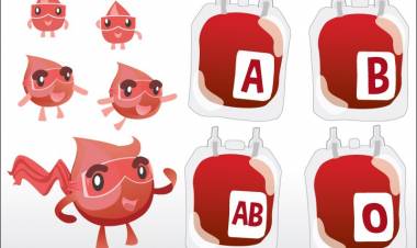 Kan Grubuna Göre Beslenme Nasıl Olmalıdır?