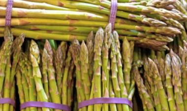 Kuşkonmaz Nedir, Kuşkonmazın Faydaları Nelerdir?