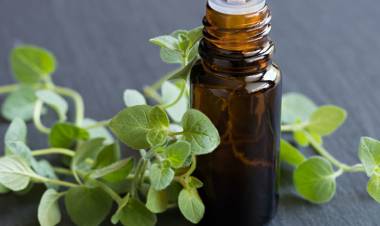 Kekik Yağının Faydaları Nelerdir?