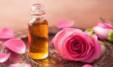 Gül Yağı Nedir? Gül Yağının Faydaları Nelerdir?