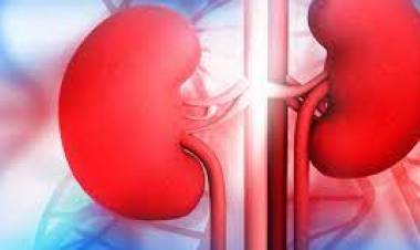 Dr. Aidin SALİH Böbrek Hastalıkları