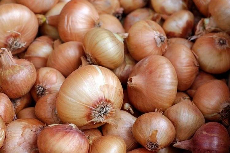 Soğanın Faydaları Nelerdir? Soğan Neye İyi Gelir?
