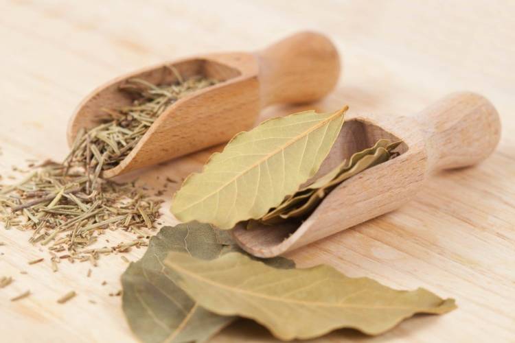 Defne Ağacının ( Yaprağı, Meyvesi, Kabuğu) Faydaları Nelerdir? Defne Yağı Nasıl Hazırlanır?