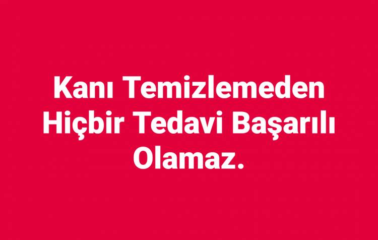 Kan ve Damarların Temizlenmesi