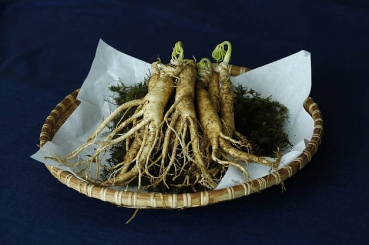 Ginseng Nedir, Faydaları Nelerdir, Nasıl Kullanılır?
